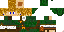 Texture for Link-z