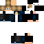 Texture for SamStreamer
