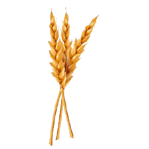 Texture for wheat