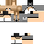 Texture for _cat_ninja_