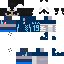Texture for asdss