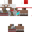 Texture for steve
