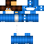 Texture for DinoVN
