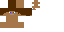 Texture for Steve Head