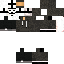 Texture for FibbsJr