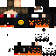 Texture for c11