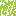 Texture for Folha de Eucalipto