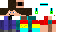 Texture for ds