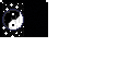 Texture for Ying Yang Cape