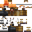 Texture for Hunger GAMES