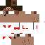 Texture for steve2