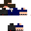 Texture for Sheyder