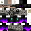 Texture for Ender