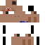 Texture for simon