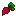 Texture for beet1