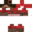 Texture for steve