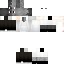 Texture for csss