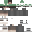 Texture for czapka frog
