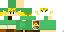 Texture for Link