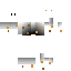 Texture for neko