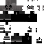 Texture for kotek55