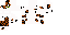 Texture for Tom