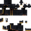 Texture for The Unknown Man