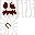 Texture for White Pumkin