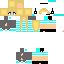 Texture for Nicol2