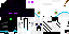 Texture for enderman