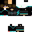 Texture for sdxcs