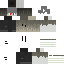 Texture for Ashes