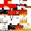 Texture for fenix ofc