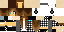 Texture for ds