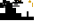Texture for Ninja chicken
