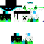 Texture for Leon Crafter