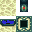 Texture for EndFrame (very active) 