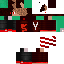 Texture for map skin