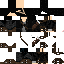 Texture for King Apdo