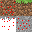 Texture for Pox Grass Block