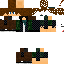 Texture for sherlock spider2