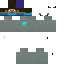 Texture for mini steve with robo