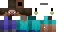Texture for stevedim