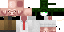 Texture for pig in a suit