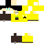 Texture for quadradicius