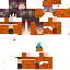 Texture for  gnar main