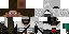 Texture for Assassin Niao