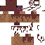 Texture for icepanda