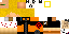 Texture for dsd