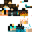 Texture for simion